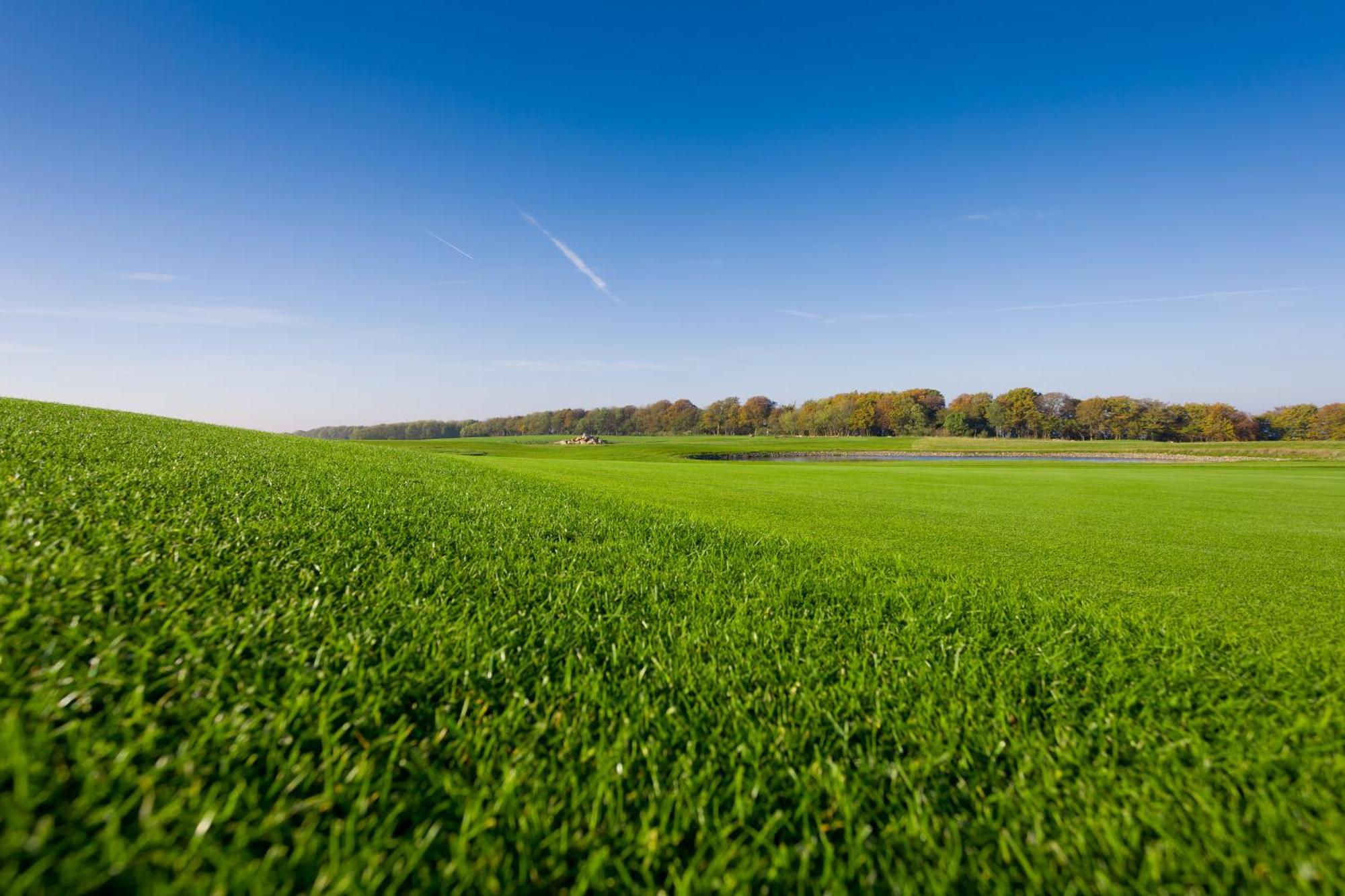 Schloss Ranzow Prviathotel - Wellness, Golf, Kulinarik, Events Lohme Exterior foto